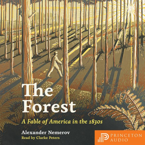 Alexander Nemerov - The Forest