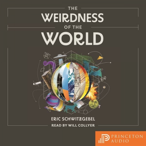 Eric Schwitzgebel - The Weirdness of the World