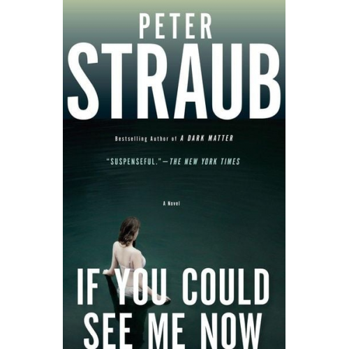 Peter Straub - If You Could See Me Now