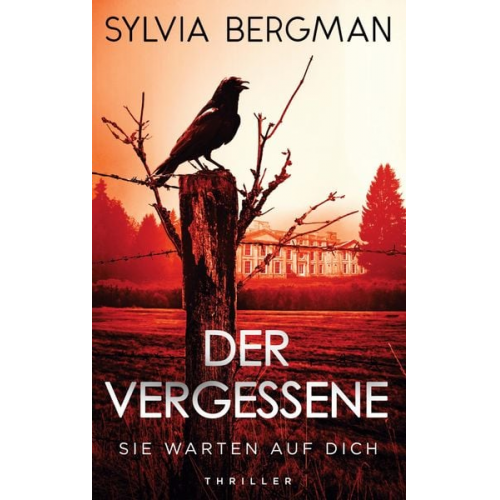 Sylvia Bergman - Der Vergessene