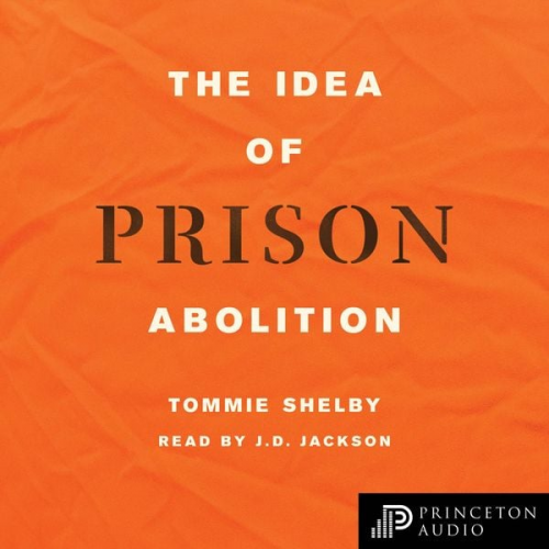 Tommie Shelby - The Idea of Prison Abolition