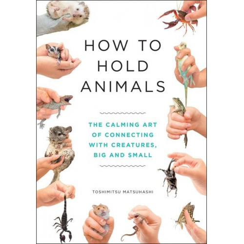 Toshimitsu Matsuhashi - How to Hold Animals