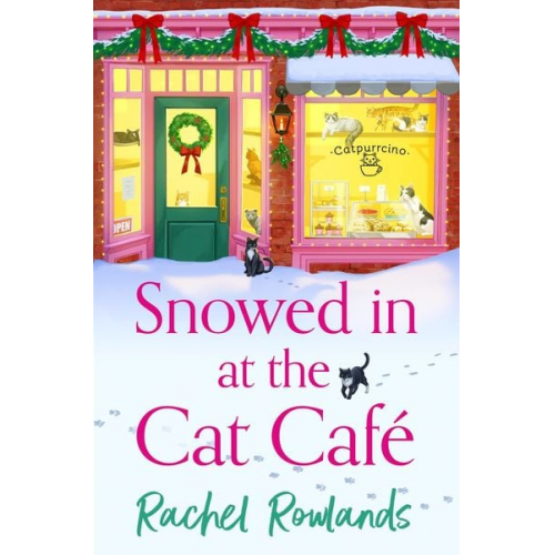 Rachel Rowlands - Snowed In at the Cat Cafe