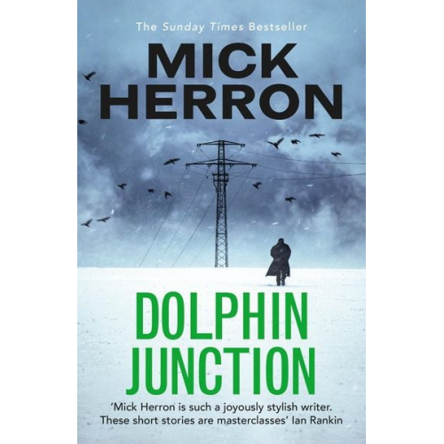 Mick Herron - Dolphin Junction