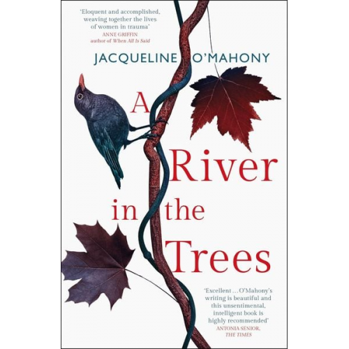 Jacqueline O'Mahony - A River in the Trees