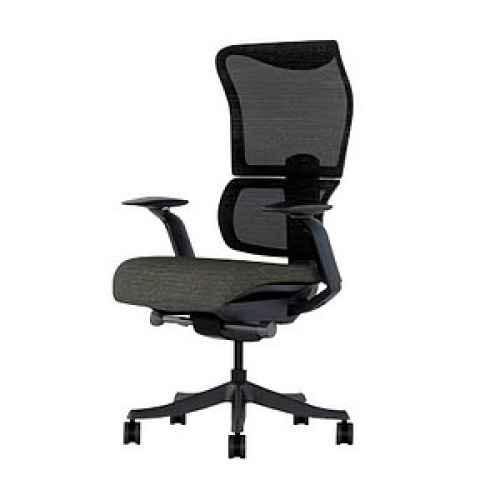 FlexiSpot Bürostuhl BS8 Pro Stoff schwarz, Gestell schwarz