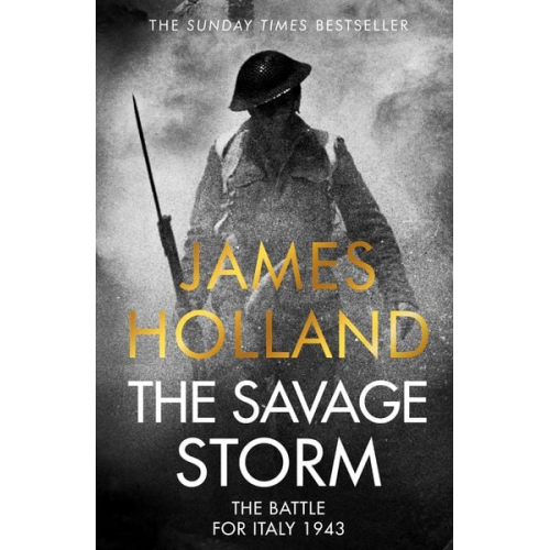 James Holland - The Savage Storm