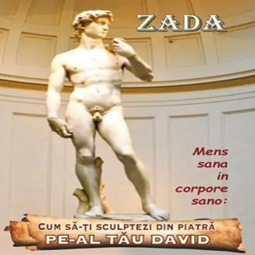 Camelia Popescu - Cum sǎ-ți sculptezi din piatrǎ pe-al tǎu David
