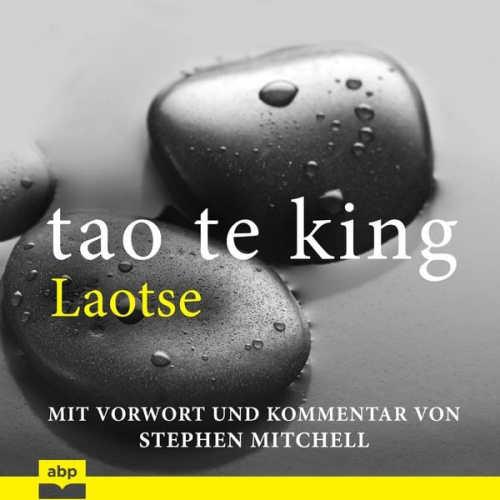 Laotse - Tao Te King