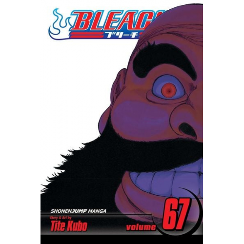 Tite Kubo - Bleach, 67