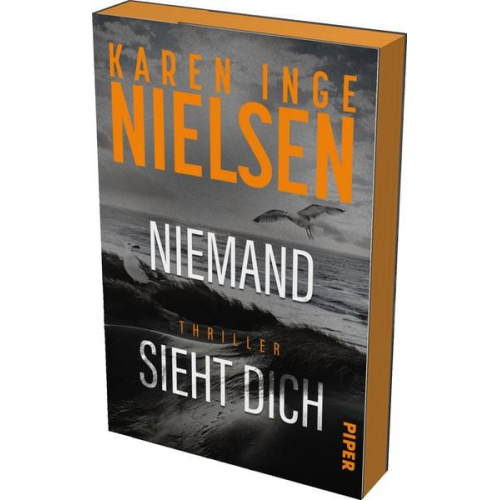 Karen Inge Nielsen - Niemand sieht dich