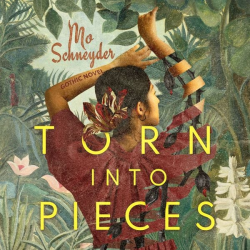 Mo Schneyder - Torn into Pieces