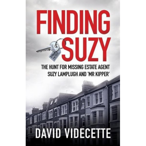 David Videcette - Finding Suzy