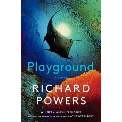 Richard Powers - Playground