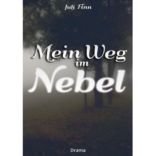 Juli Finn - Mein Weg im Nebel