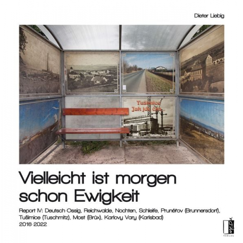 Dieter Liebig - Vielleicht ist morgen schon Ewigkeit