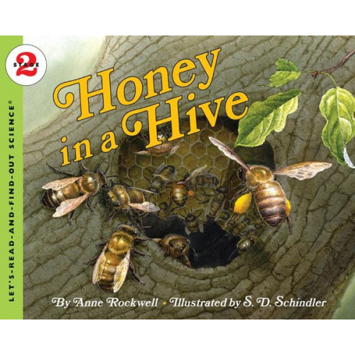 Anne Rockwell - Honey in a Hive