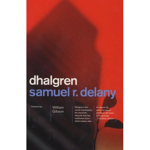 Samuel R. Delany - Dhalgren