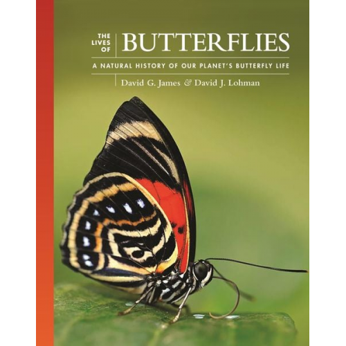 David G. James David J. Lohman - The Lives of Butterflies