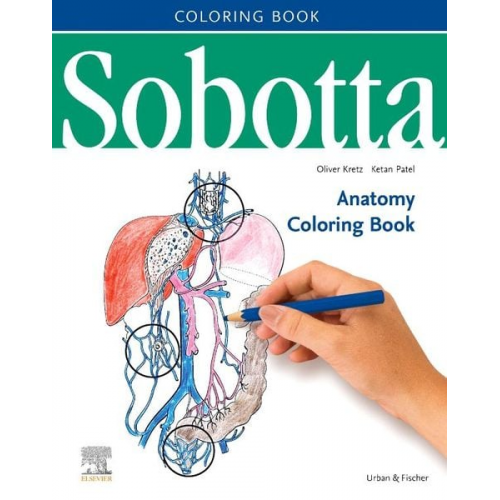 Oliver Kretz Ketan Patel - Sobotta Anatomy Coloring Book ENGLISCH/LATEIN