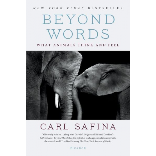 Carl Safina - Beyond Words