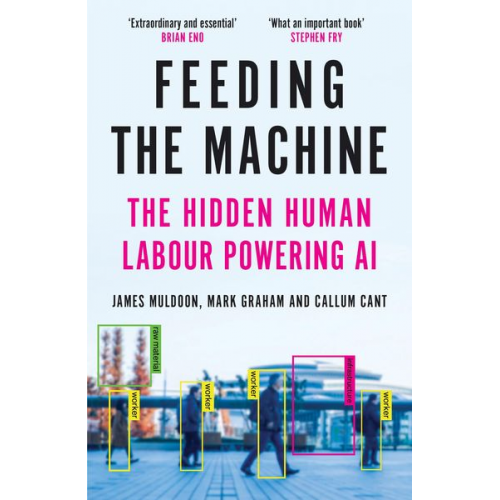 James Muldoon Mark Graham Callum Cant - Feeding the Machine