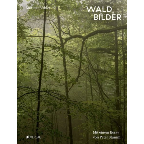 Markus Bühler - Waldbilder