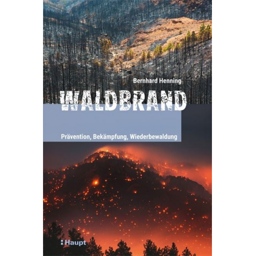 Bernhard Henning - Waldbrand