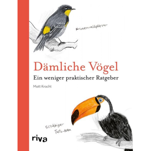 Matt Kracht - Dämliche Vögel