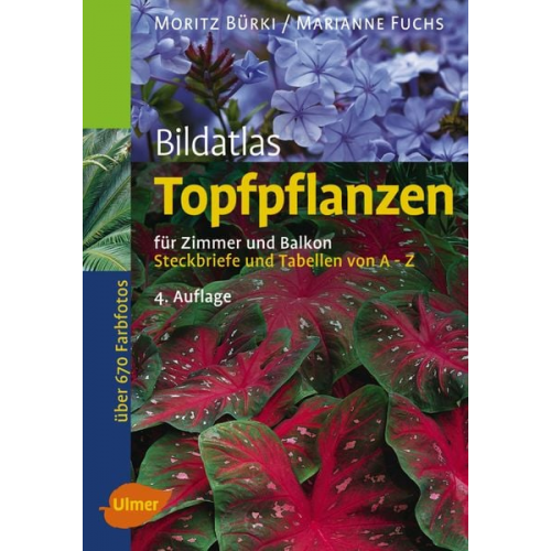 Moritz Bürki Marianne Fuchs - Topfpflanzen