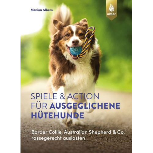 Marion Albers - Spiele und Action für ausgeglichene Hütehunde