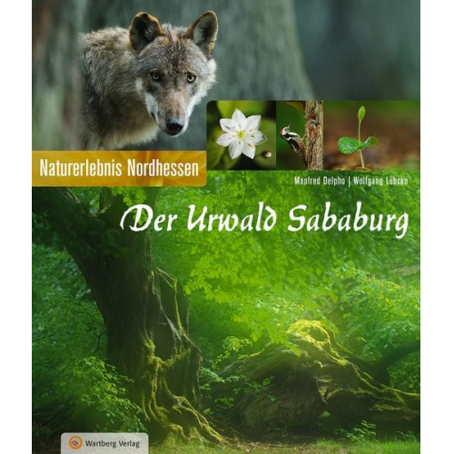 Manfred Delpho Wolfgang Lübcke - Der Urwald Sababurg - Naturerlebnis Nordhessen