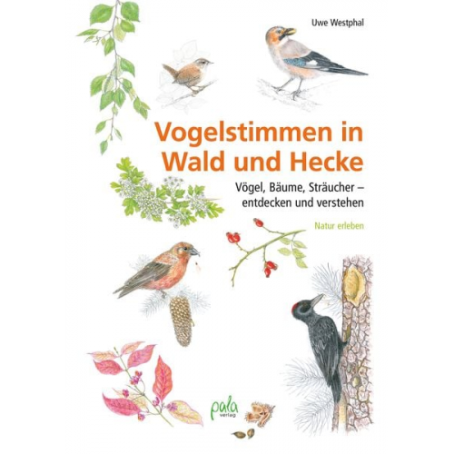 Uwe Westphal - Vogelstimmen in Wald und Hecke