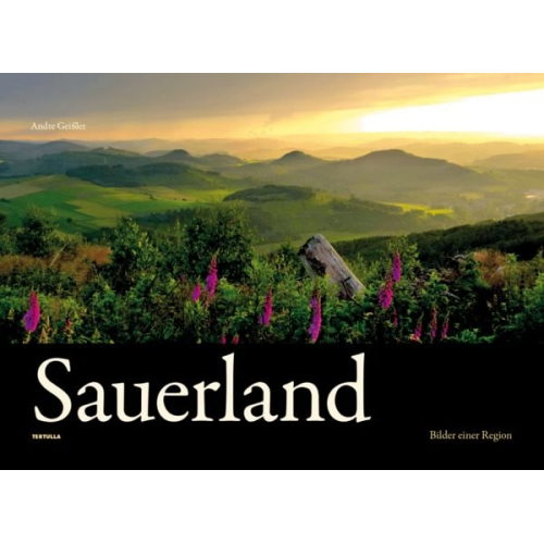 Andre Geissler - Sauerland