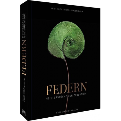 Federn