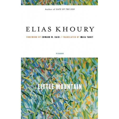 Elias Khoury - Little Mountain