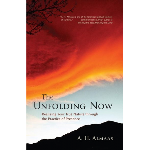 A. H. Almaas - The Unfolding Now