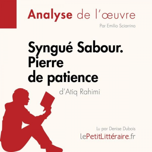 LePetitLitteraire Emilio Sciarrino Marie-Pierre Quintard - Syngué Sabour. Pierre de patience d'Atiq Rahimi (Analyse de l'oeuvre)