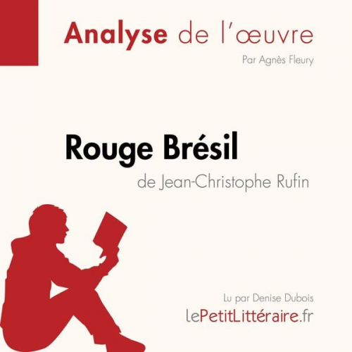 LePetitLitteraire Agnès Fleury Marie-Sophie Wauquez - Rouge Brésil de Jean-Christophe Rufin (Analyse de l'œuvre)