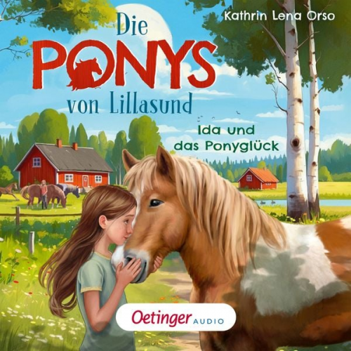 Kathrin Lena Orso - Die Ponys von Lillasund 1. Ida und das Ponyglück