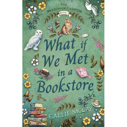 Callie McLay - What If We Met In A Bookstore