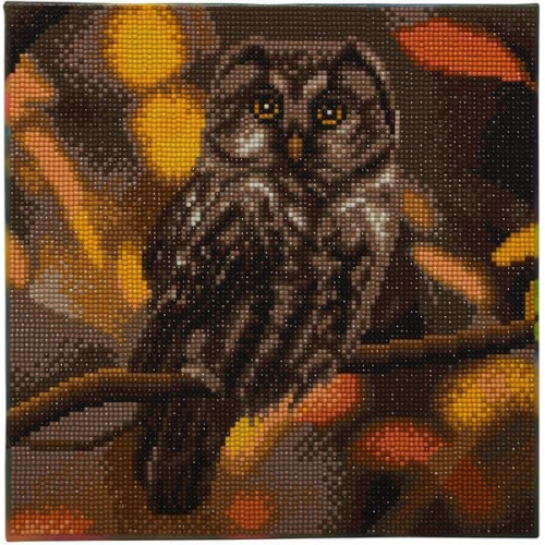 Craft Buddy CAK-A97M - Crystal Art, Tawny Owl, Eule, Kit, Bild, 30 x 30 cm cm