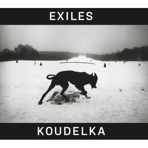 Robert Delpire Czeslaw Milosz - Josef Koudelka: Exiles