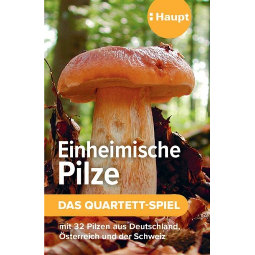 Einheimische Pilze - das Quartett-Spiel