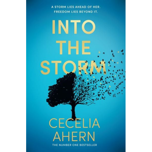 Cecelia Ahern - Into the Storm