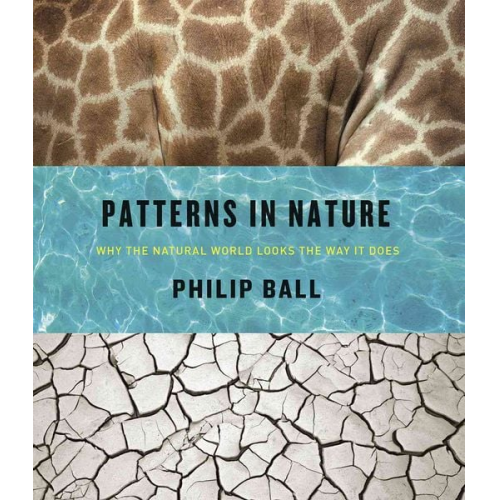 Philip Ball - Patterns in Nature