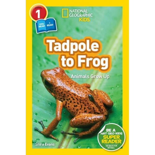 Shira Evans - Tadpole to Frog (National Geographic Kids Readers, Level 1/Co-Reader)