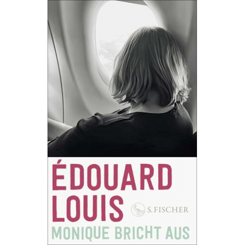 Édouard Louis - Monique bricht aus