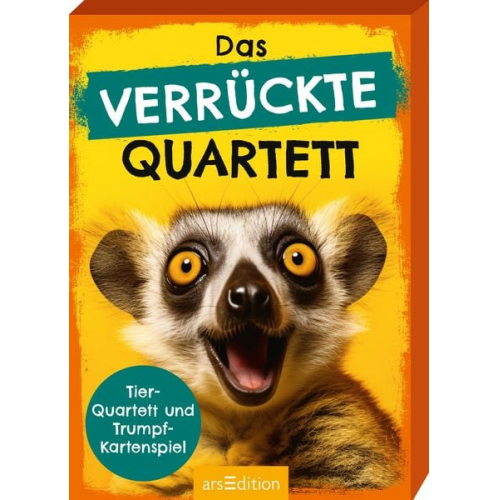 Das verrückte Quartett