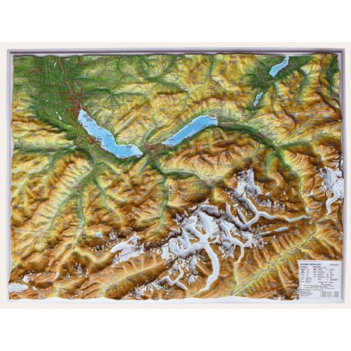 Andre Markgraf Mario Engelhardt - Relief Berner Oberland klein 1:200.000